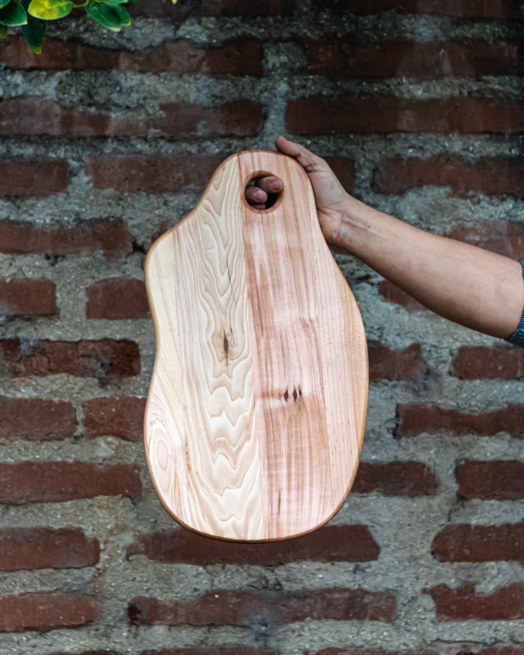 Tabla Darwin fabricada en madera nativa